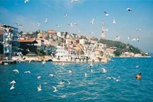Sarıyer Böcek İlaçlama