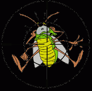 Evde Böcek İlaçlama